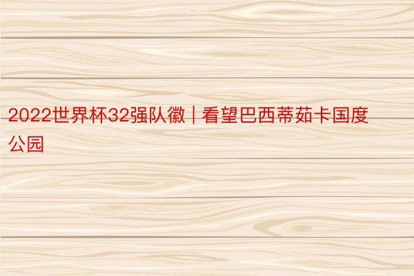 2022世界杯32强队徽 | 看望巴西蒂茹卡国度公园